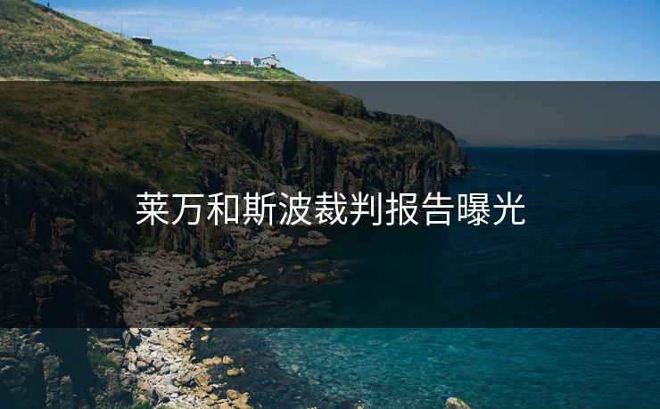 莱万和斯波裁判报告曝光 莱万和斯波裁判报告曝光