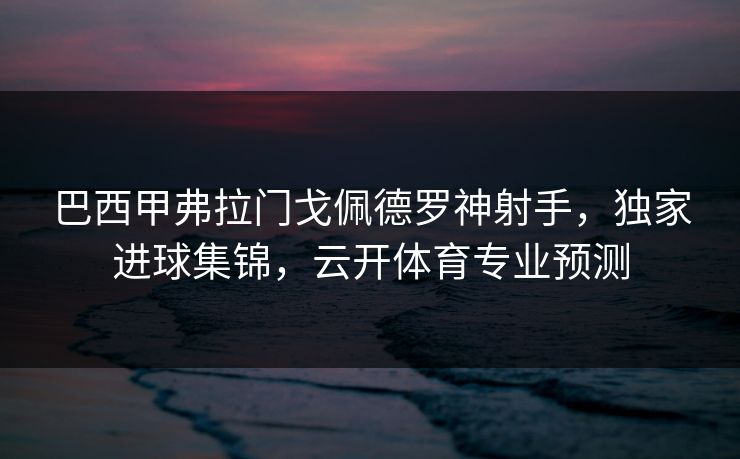 巴西甲弗拉门戈佩德罗神射手，独家进球集锦，云开体育专业预测